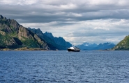 Fjords et baleines de Norvège
