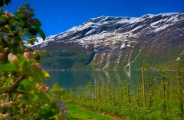Panorama des fjords de Norvège