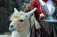 Premier regard sur le Pérou