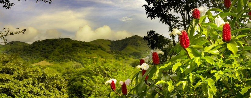 Découverte jungles du Costa Rica